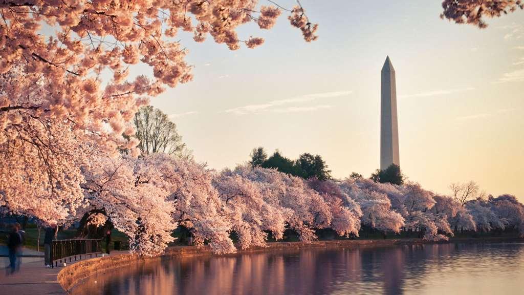 Hyatt Place Washington Dc/White House Servis gambar